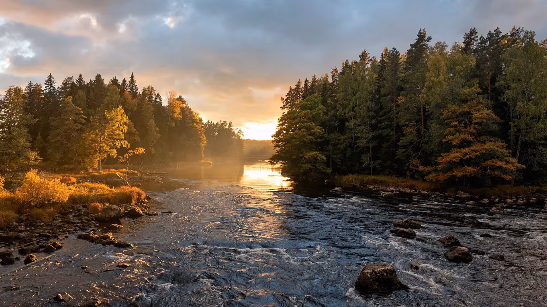 Kvällsljus över vattnet i Färnebofjärdens nationalpark